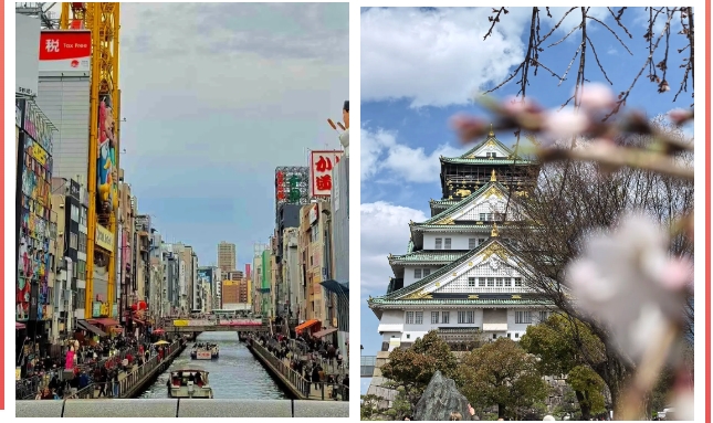 1744963482272908.png 08.png